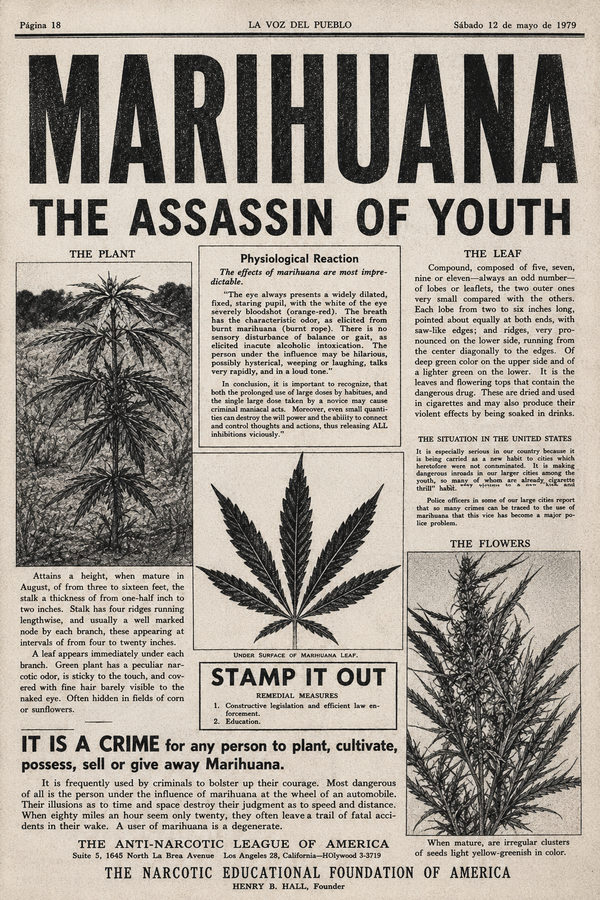 Afiche de propaganda antimarihuana del siglo XX